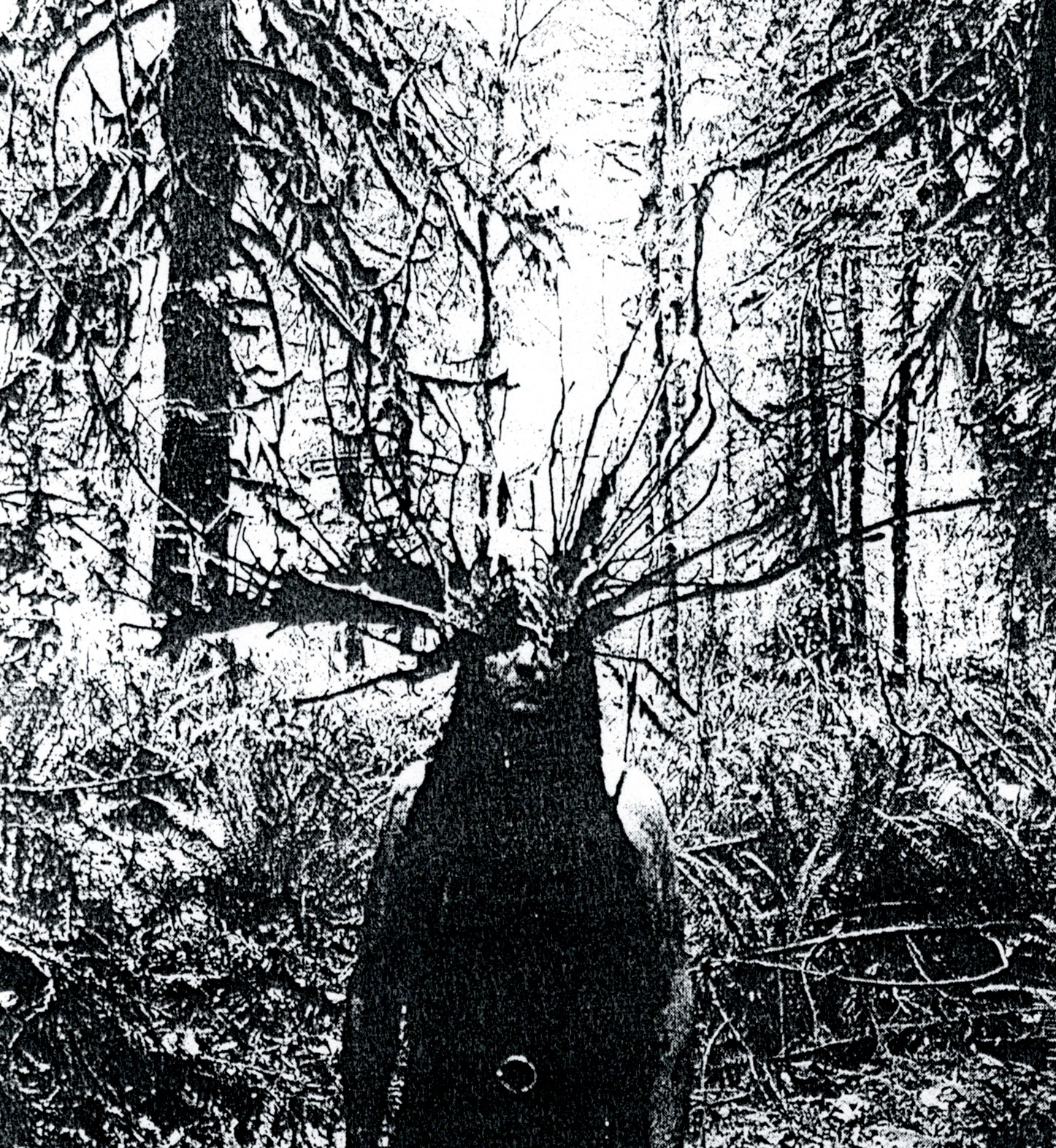 TheNausea_LiveHeadshot_Photography by Dani Osborne_ Collage by P. van Trigt