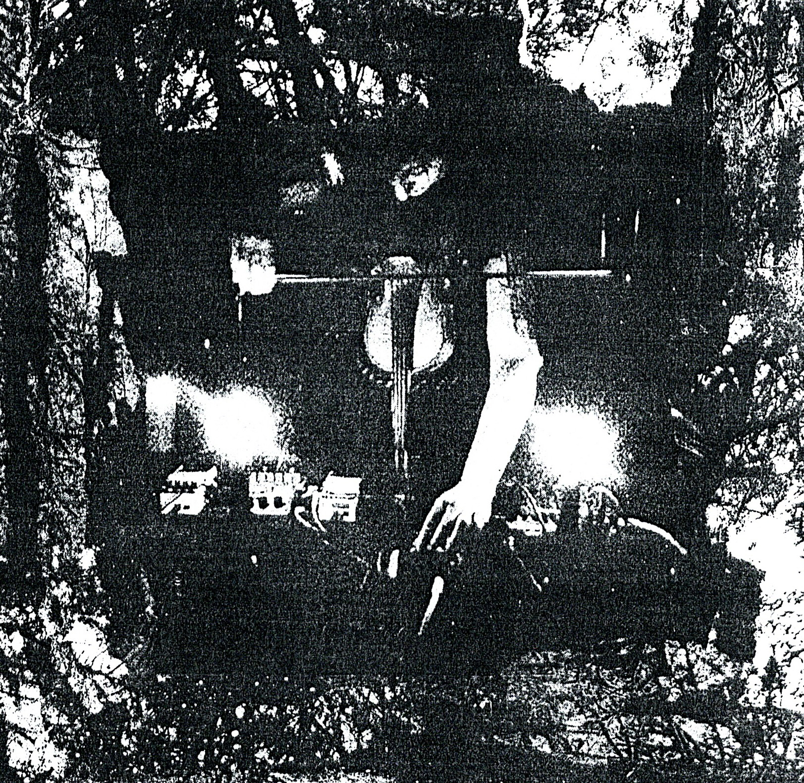 TheNausea_LiveHeadshot_Photography by TaylorGeddes_ Collage by P. van Trigt (1)